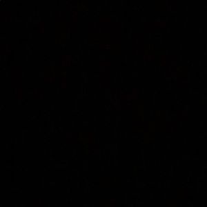 Meet your Posher, Dave